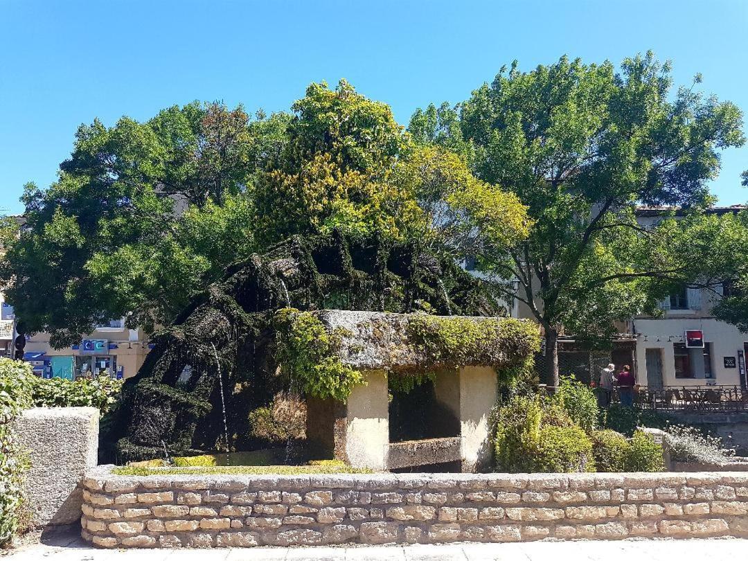 Vintage Home 索格岛 外观 照片